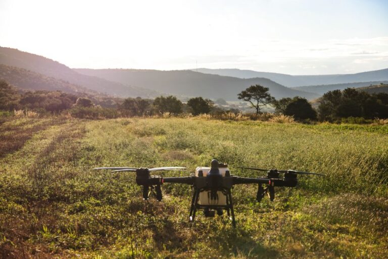 Wildlife monitoring advances with modern drone technology